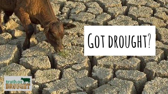 Got Drought?